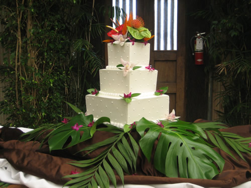 June 2009 Weddings 022